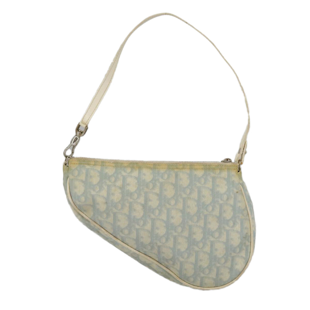 Dior Saddle  Canvas Clutch Bag