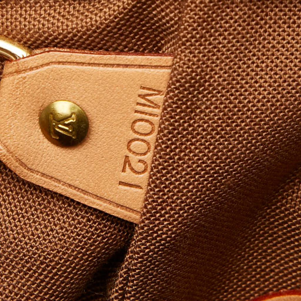 Louis Vuitton Brown Pvc Leather Backpack