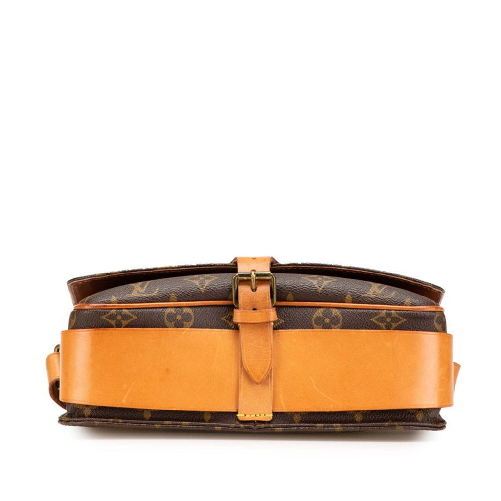 Louis Vuitton Brown Pvc Leather Shoulder Bag