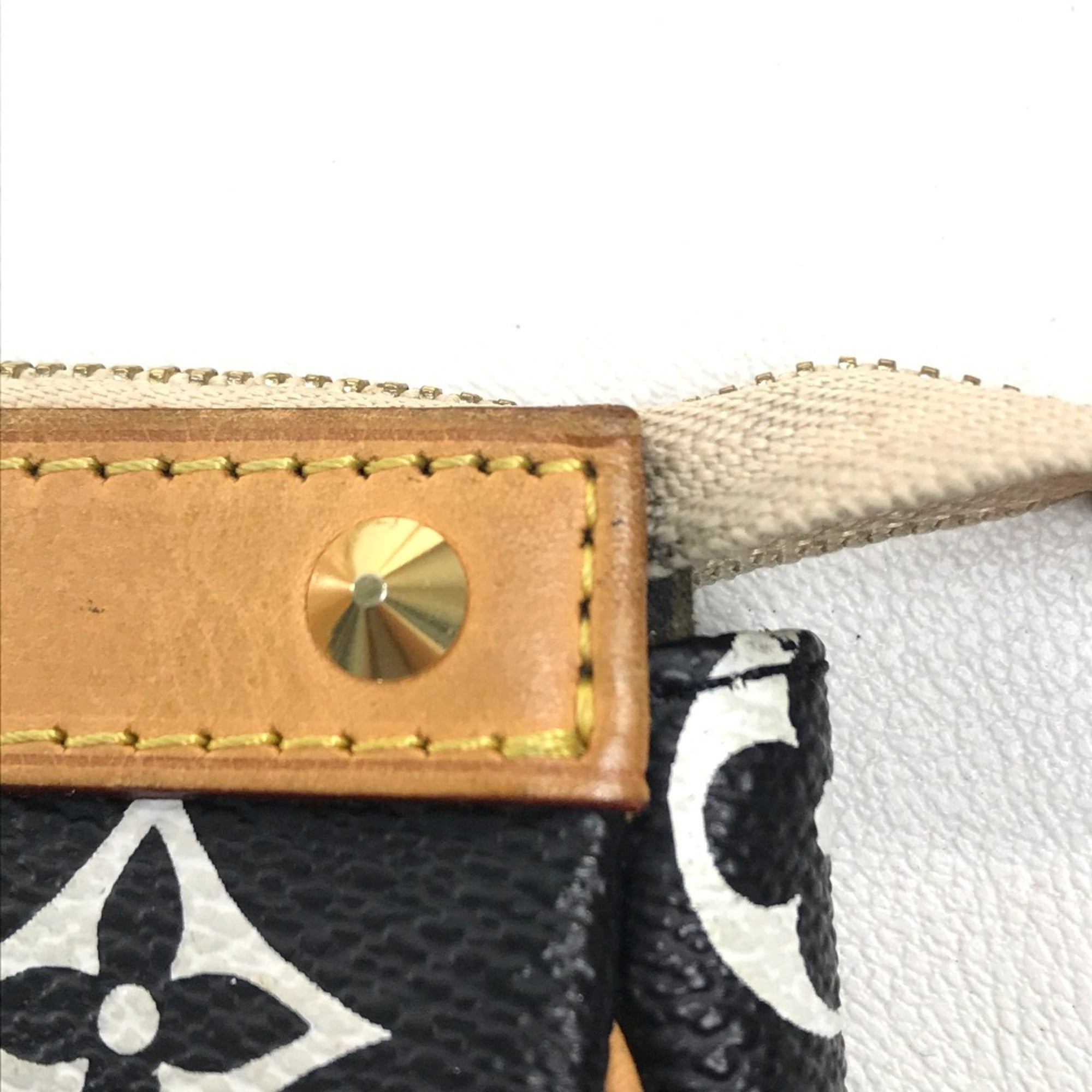 Louis Vuitton Black Other Pouch