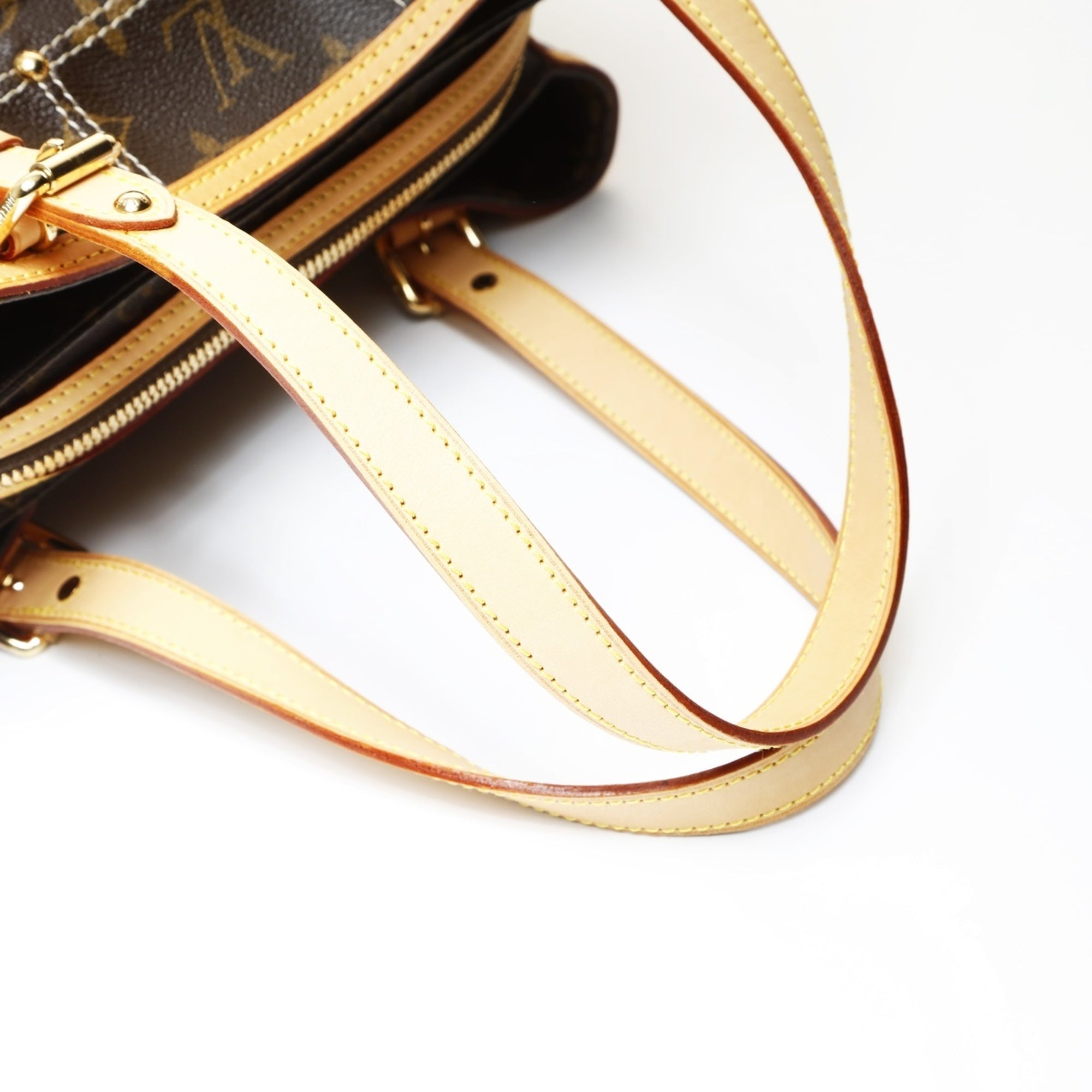 Louis Vuitton Brown Handbag