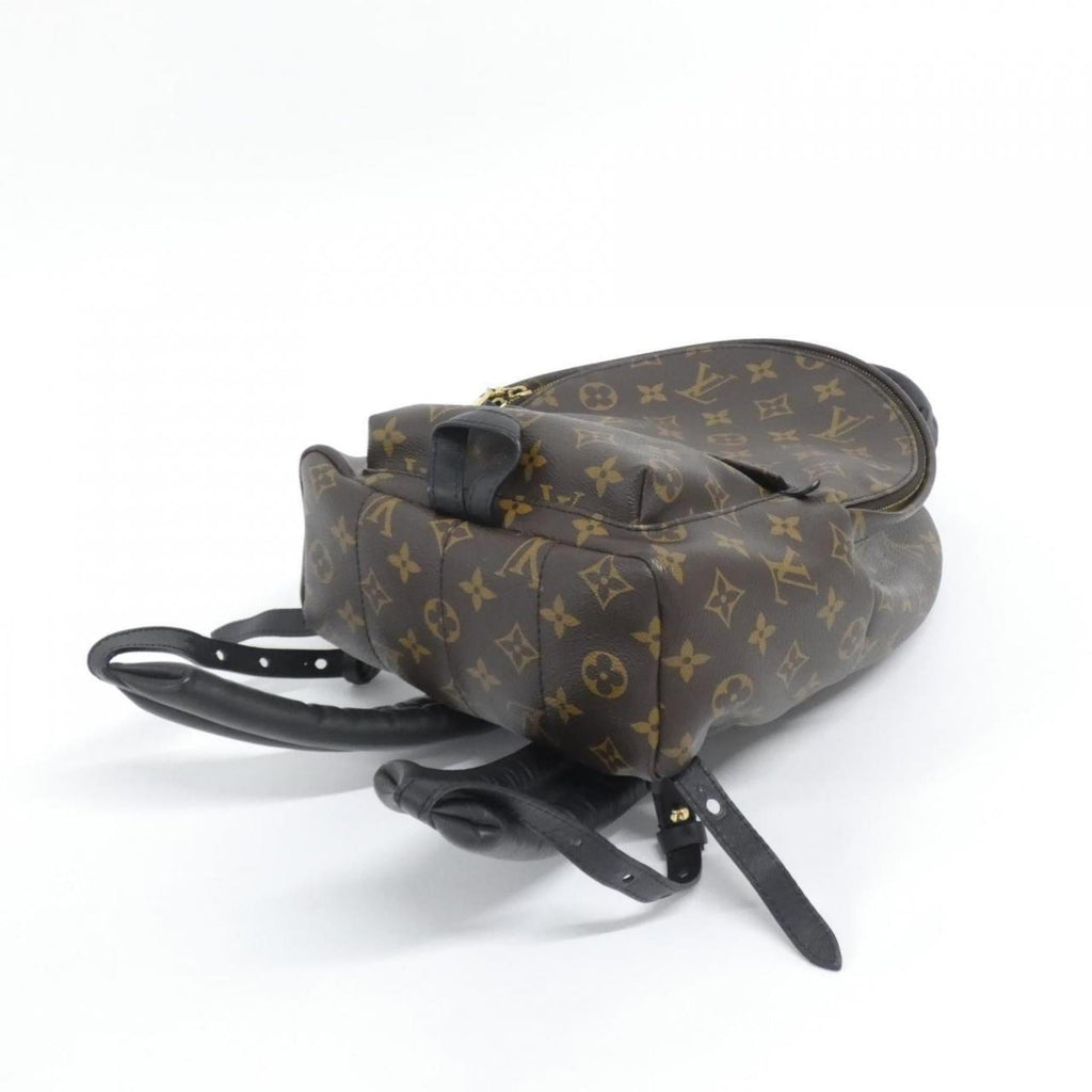 Louis Vuitton Marron Coated Canvas Backpack