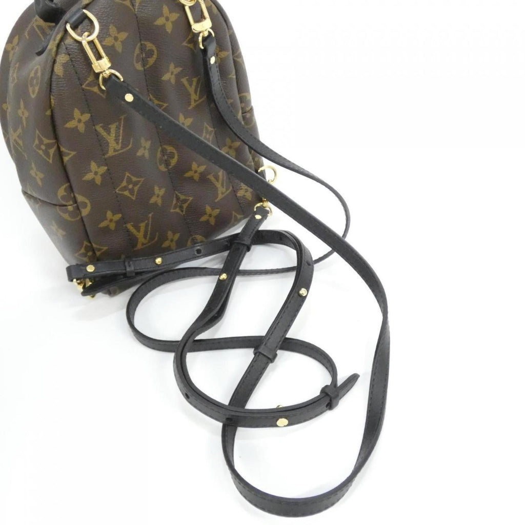 Louis Vuitton Marron Coated Canvas Backpack