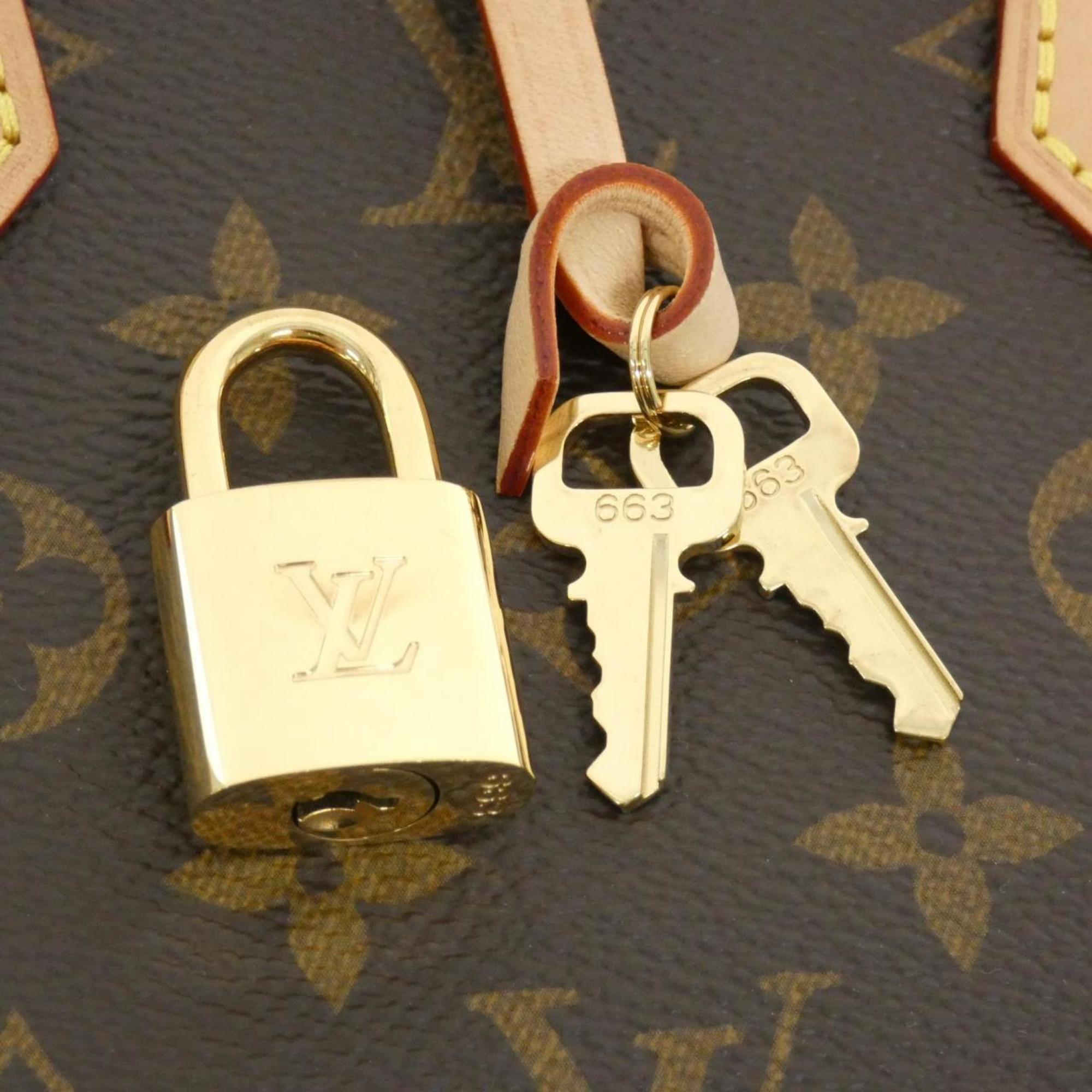 Louis Vuitton Marron Coated Canvas Handbag