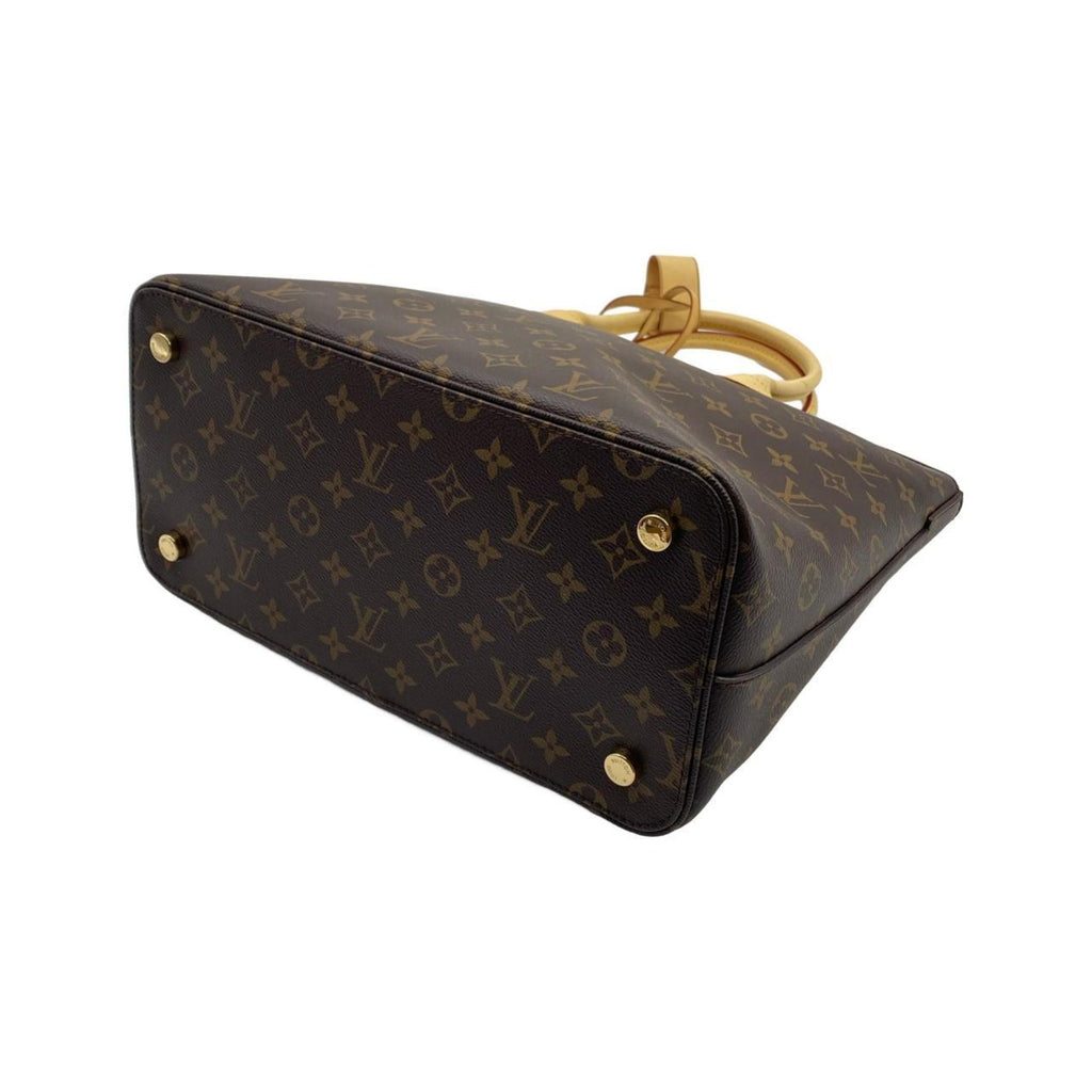 Louis Vuitton Marron Coated Canvas Handbag