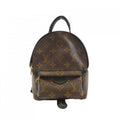 Louis Vuitton Brown Coated Canvas Backpack