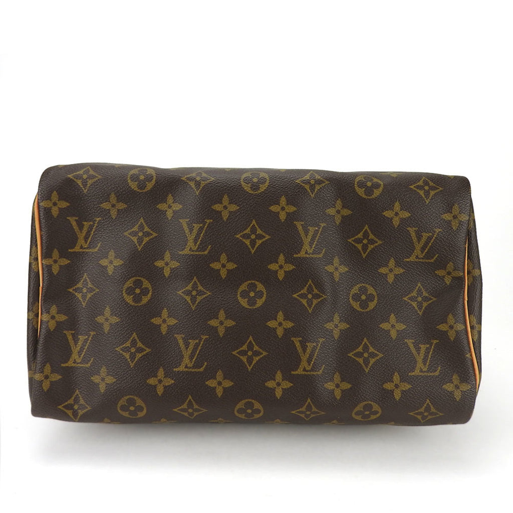 Louis Vuitton Monogram Brown Handbag