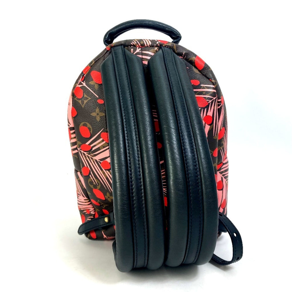 Louis Vuitton Brown Pink Red Color Monogram Backpack