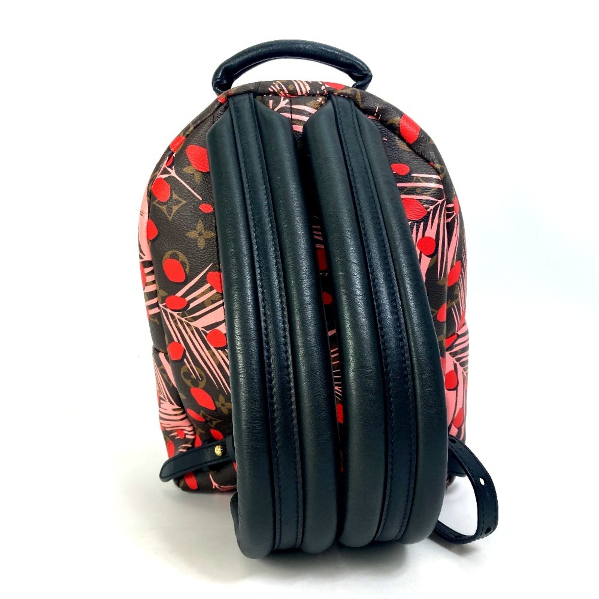 Louis Vuitton Brown Pink Red Color Monogram Backpack