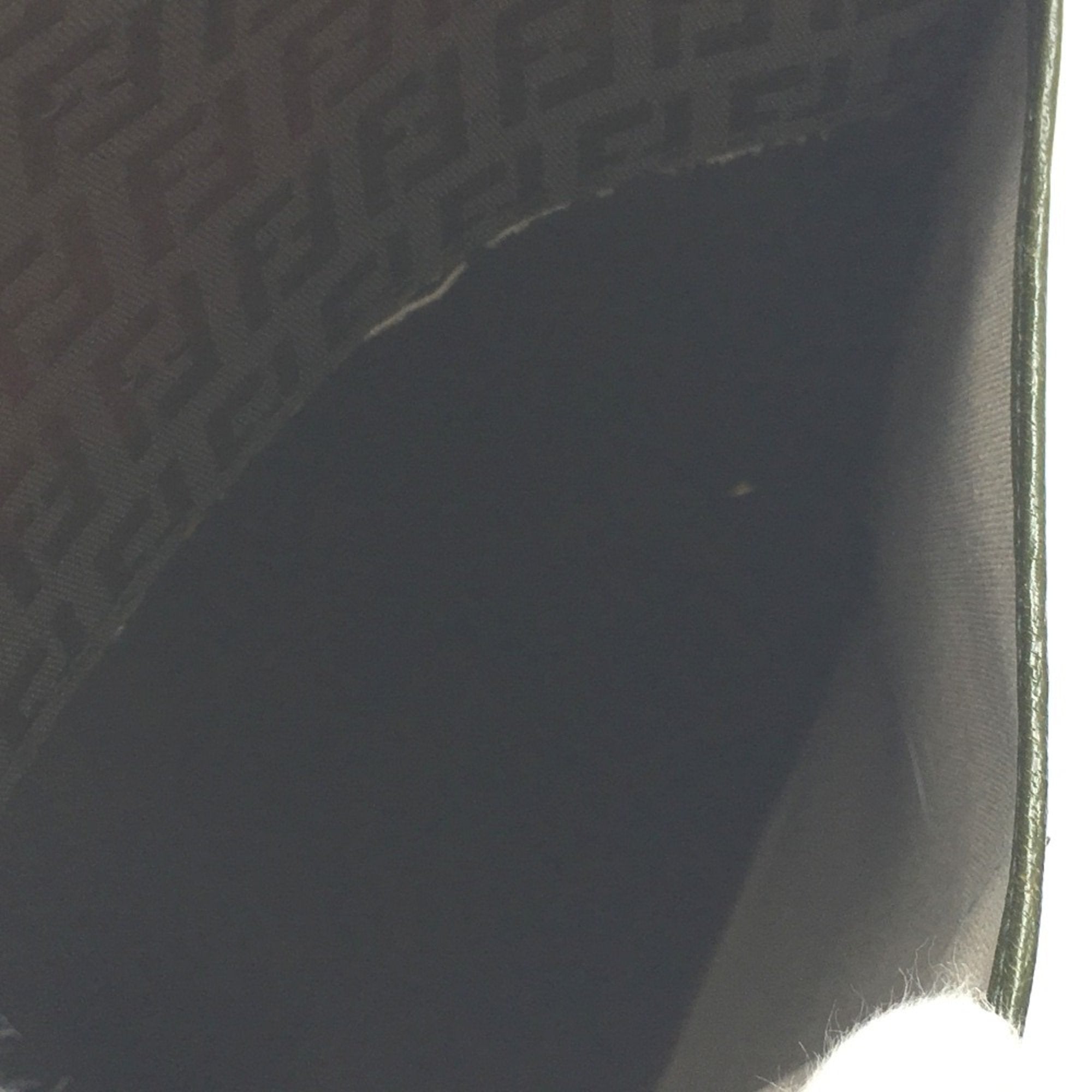 Fendi Other Other Shoulder Bag