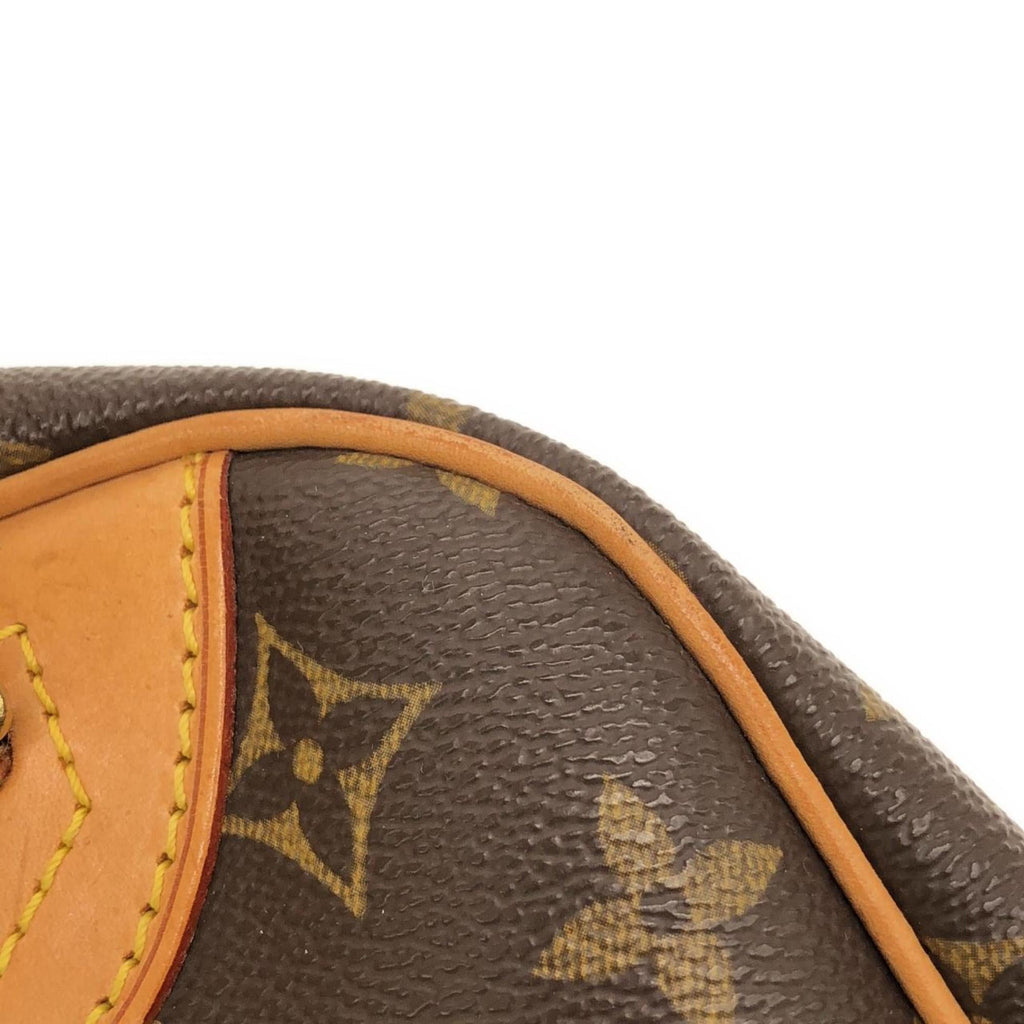 Louis Vuitton Marron Coated Canvas Handbag