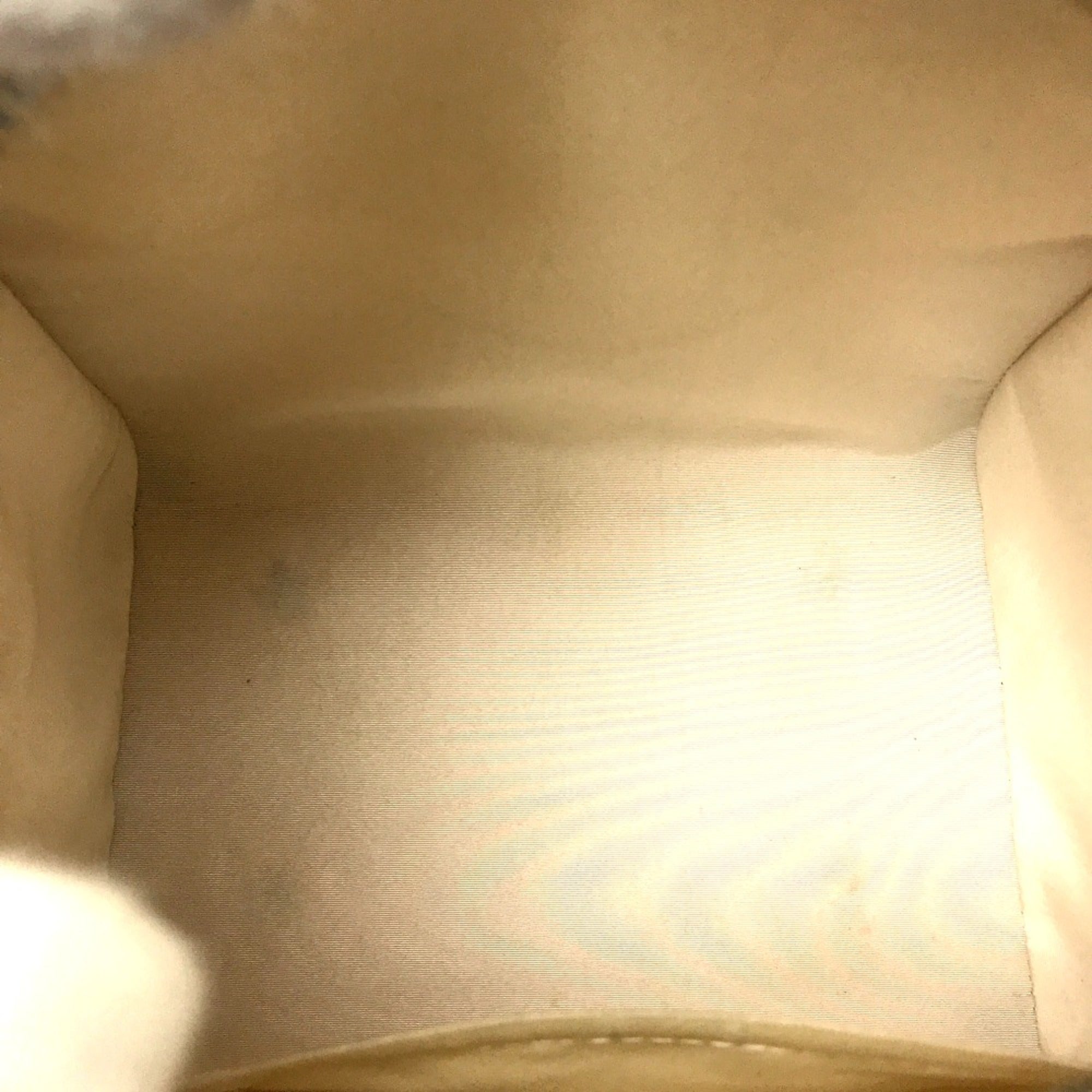 Louis Vuitton White Other Handbag