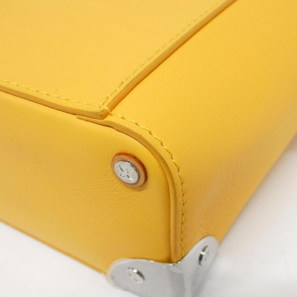 Louis Vuitton Saffron Leather Handbag