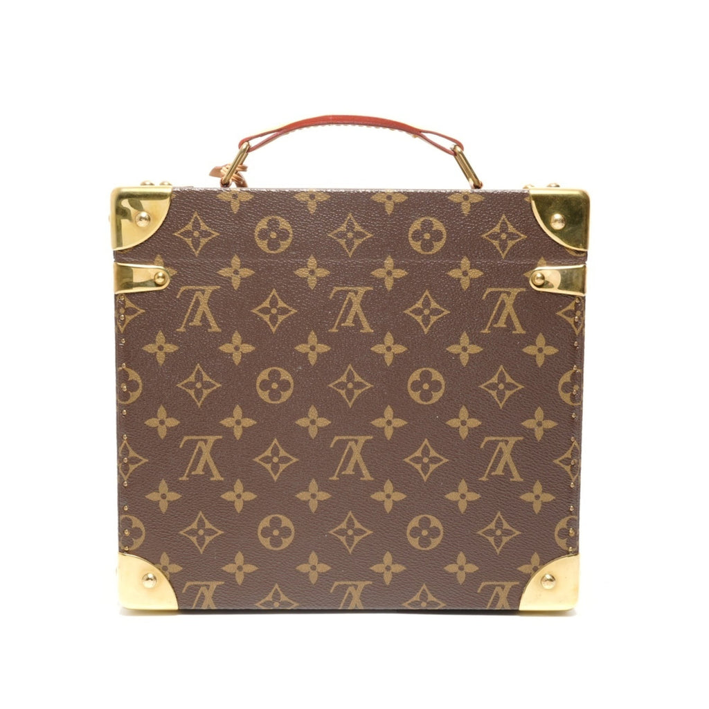 Louis Vuitton Brown Handbag