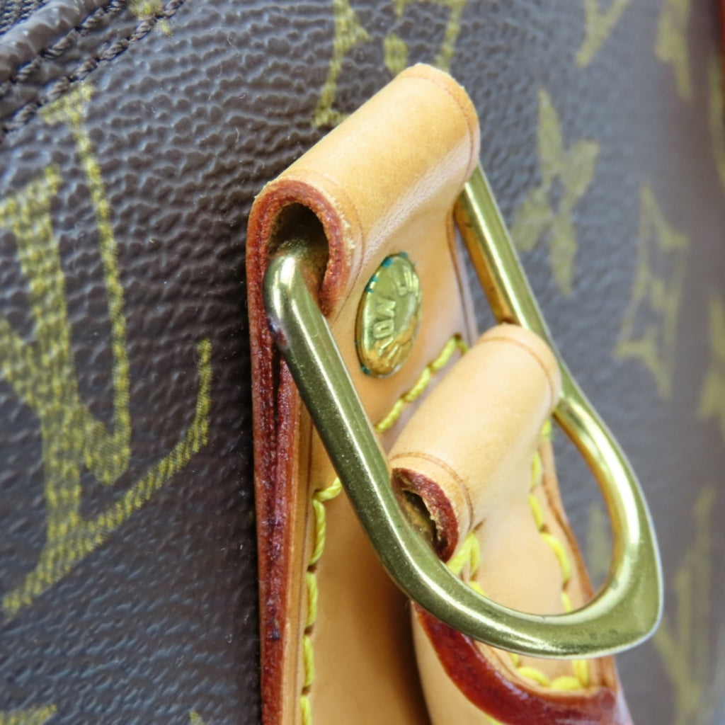 Louis Vuitton Brown Monogram Monogram Handbag