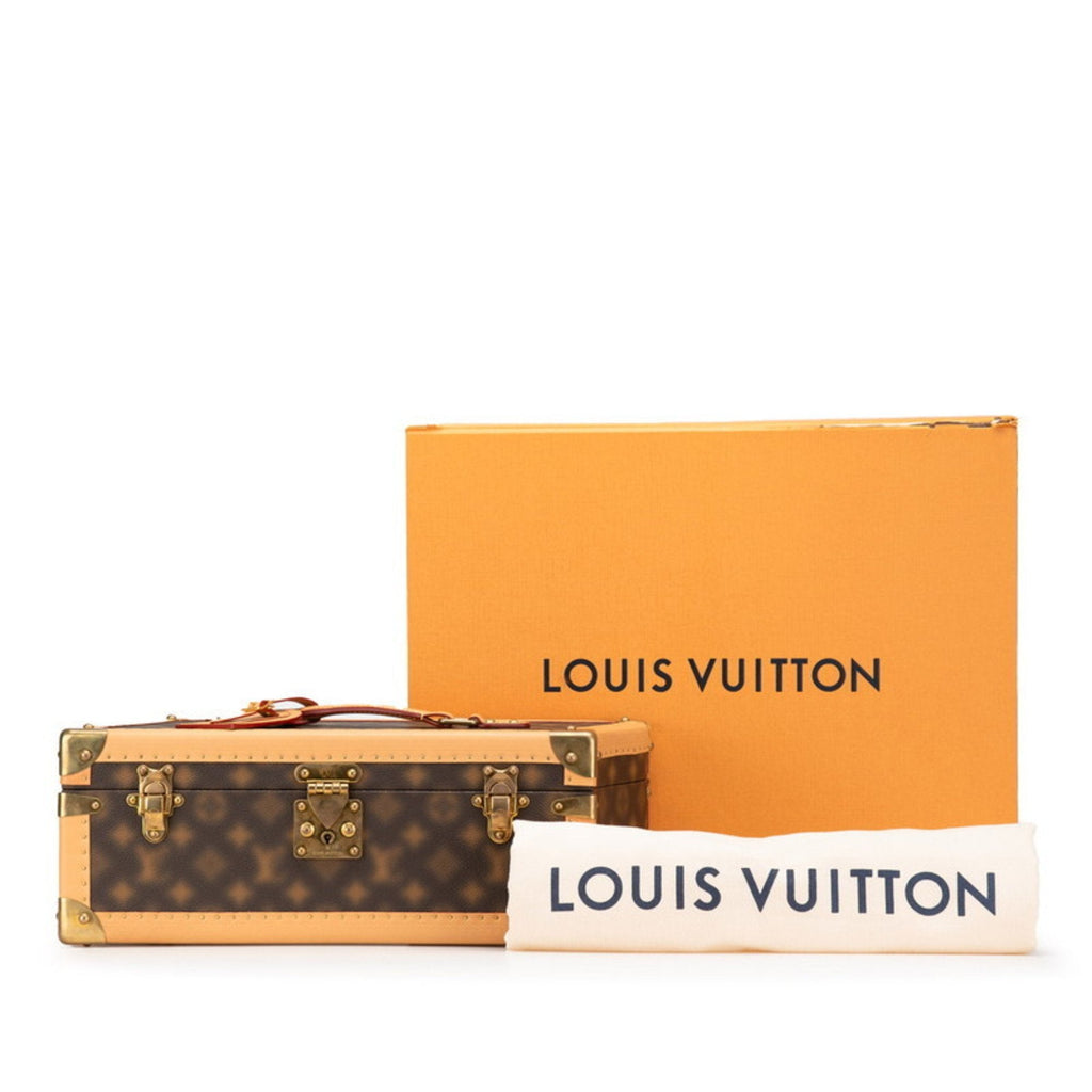 Louis Vuitton Brown Pvc Leather Handbag