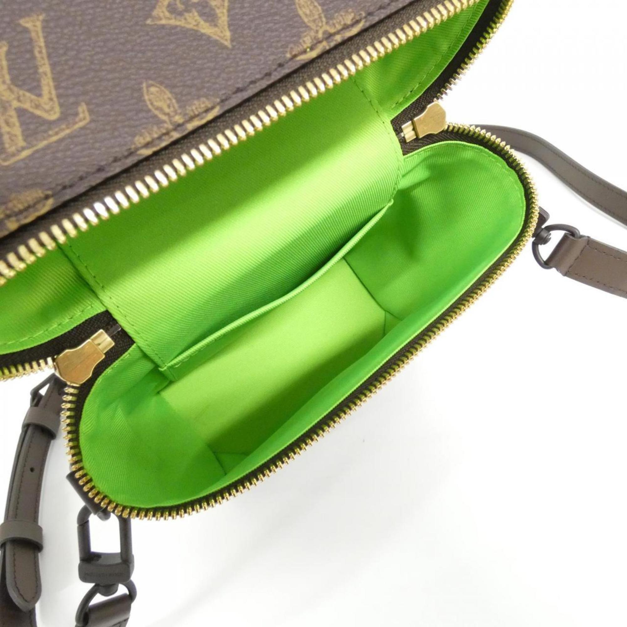 Louis Vuitton Marron Coated Canvas Handbag