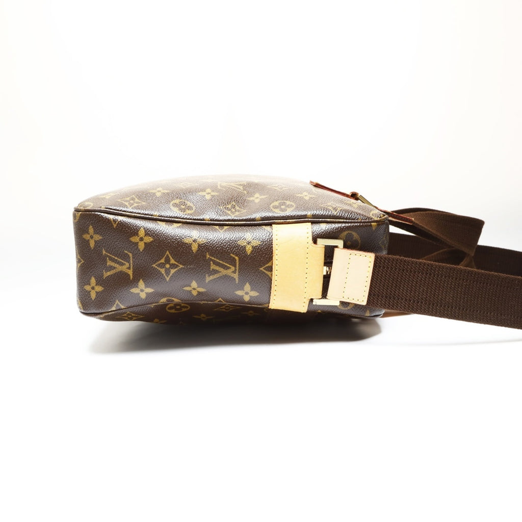 Louis Vuitton Brown Monogram Monogram Shoulder Bag