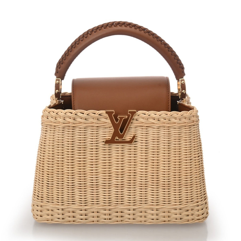 Louis Vuitton Handbag