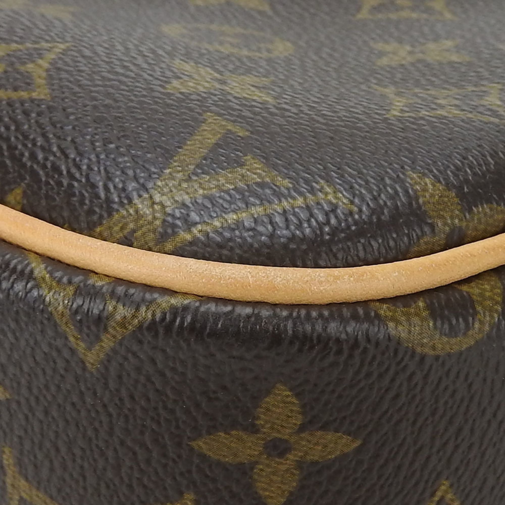 Louis Vuitton Monogram Brown Monogram Shoulder Bag