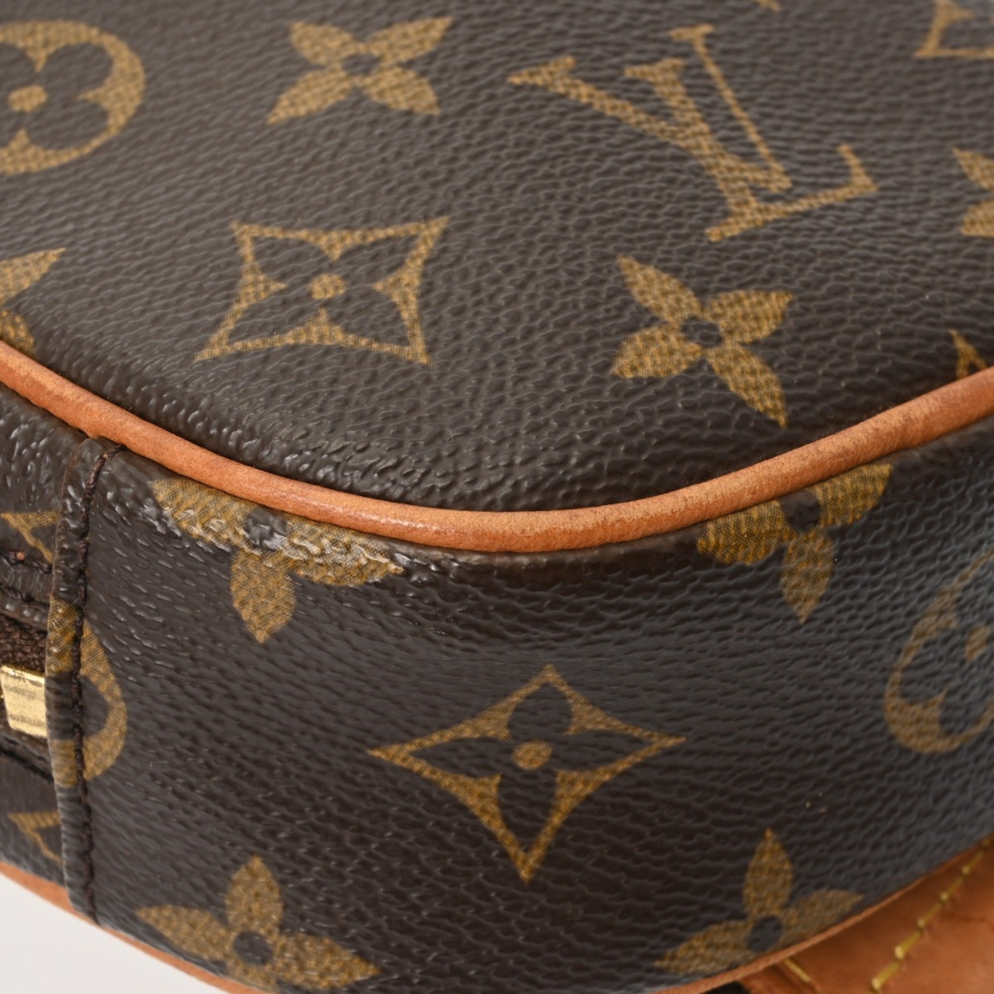 Louis Vuitton Monogram Brown Monogram Sling Bag
