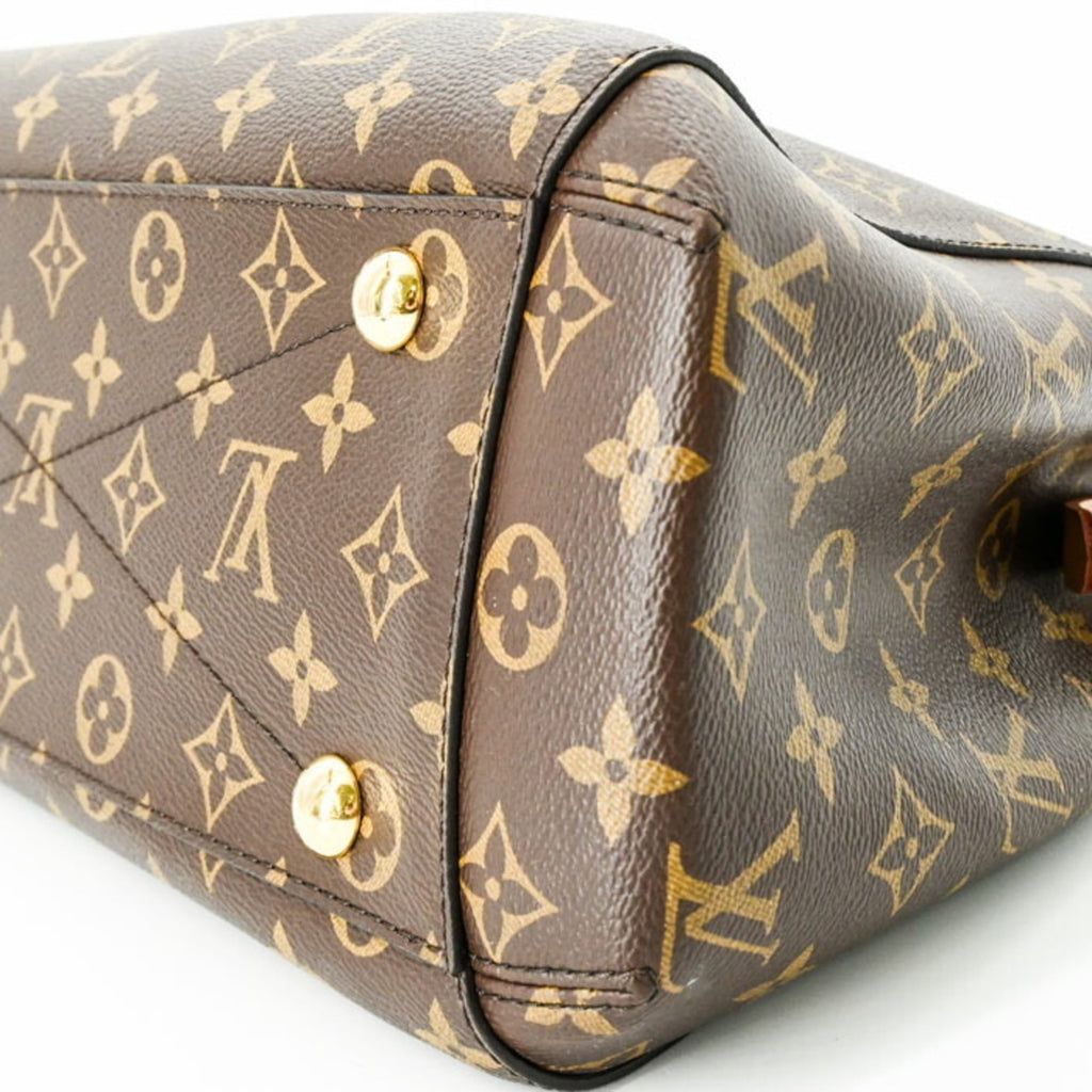 Louis Vuitton Monogram Brown Monogram Handbag