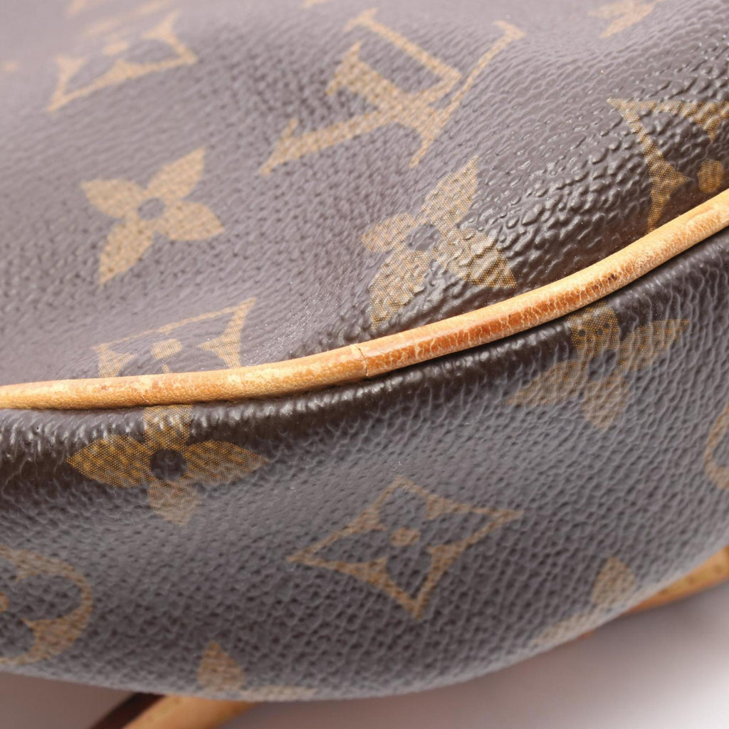 Louis Vuitton Brown Monogram Coated Canvas Handbag