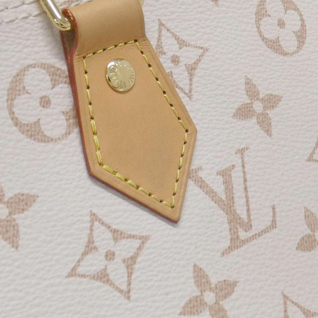 Louis Vuitton Dune Coated Canvas Handbag