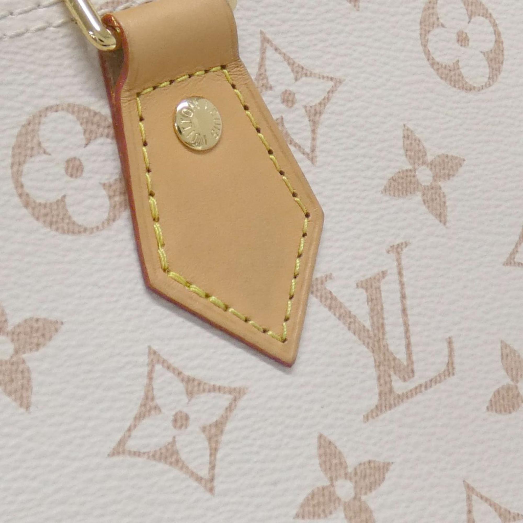Louis Vuitton Dune Coated Canvas Handbag
