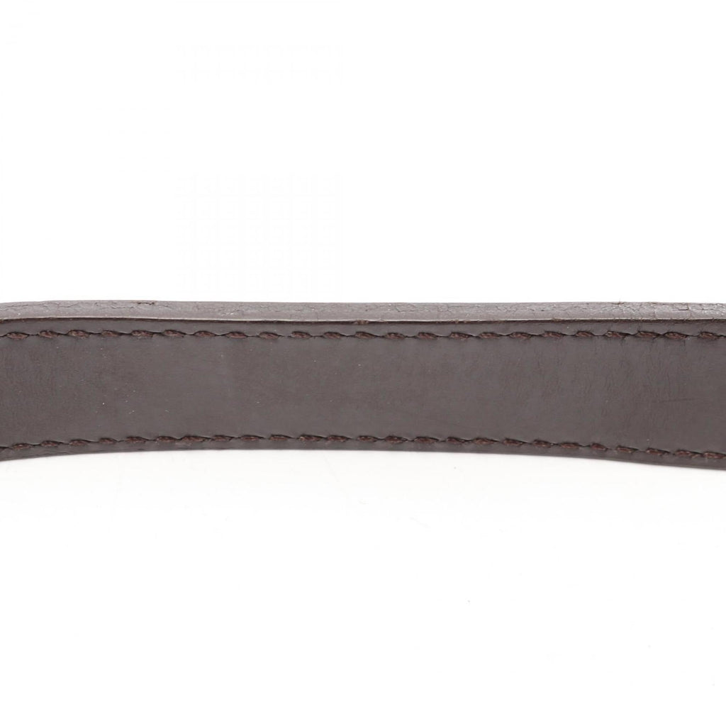Louis Vuitton Brown Coated Canvas Shoulder Bag