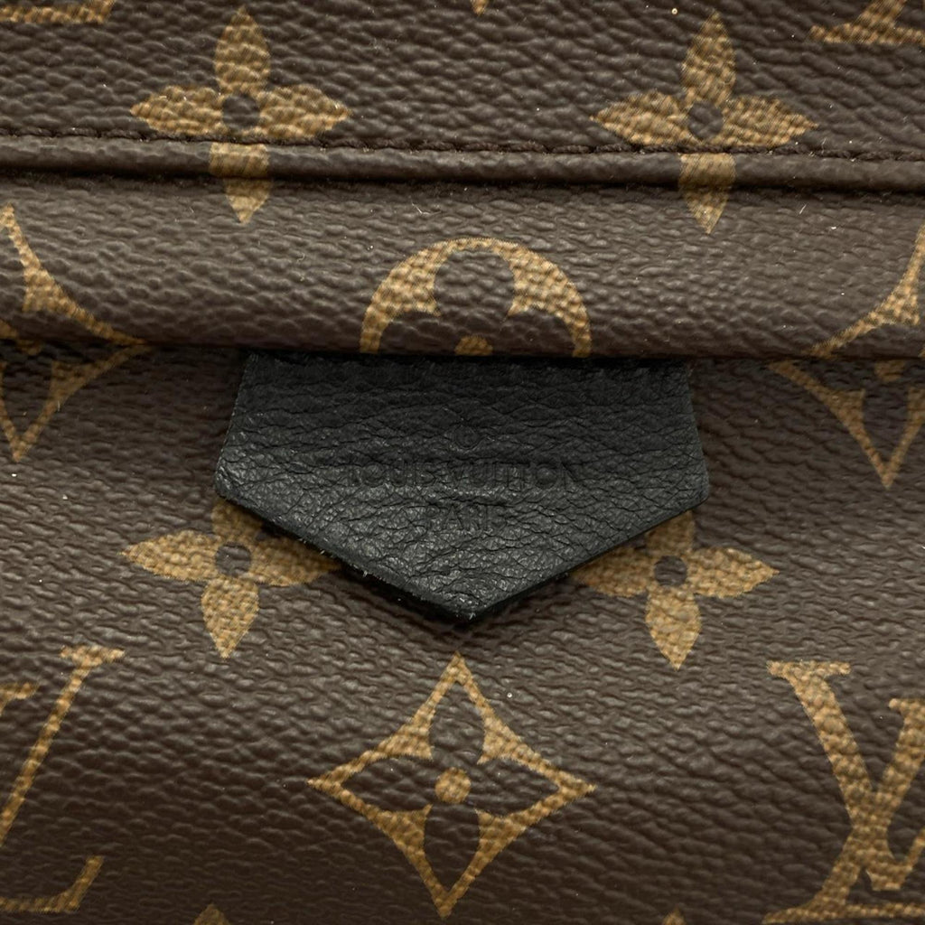 Louis Vuitton Brown Coated Canvas Backpack