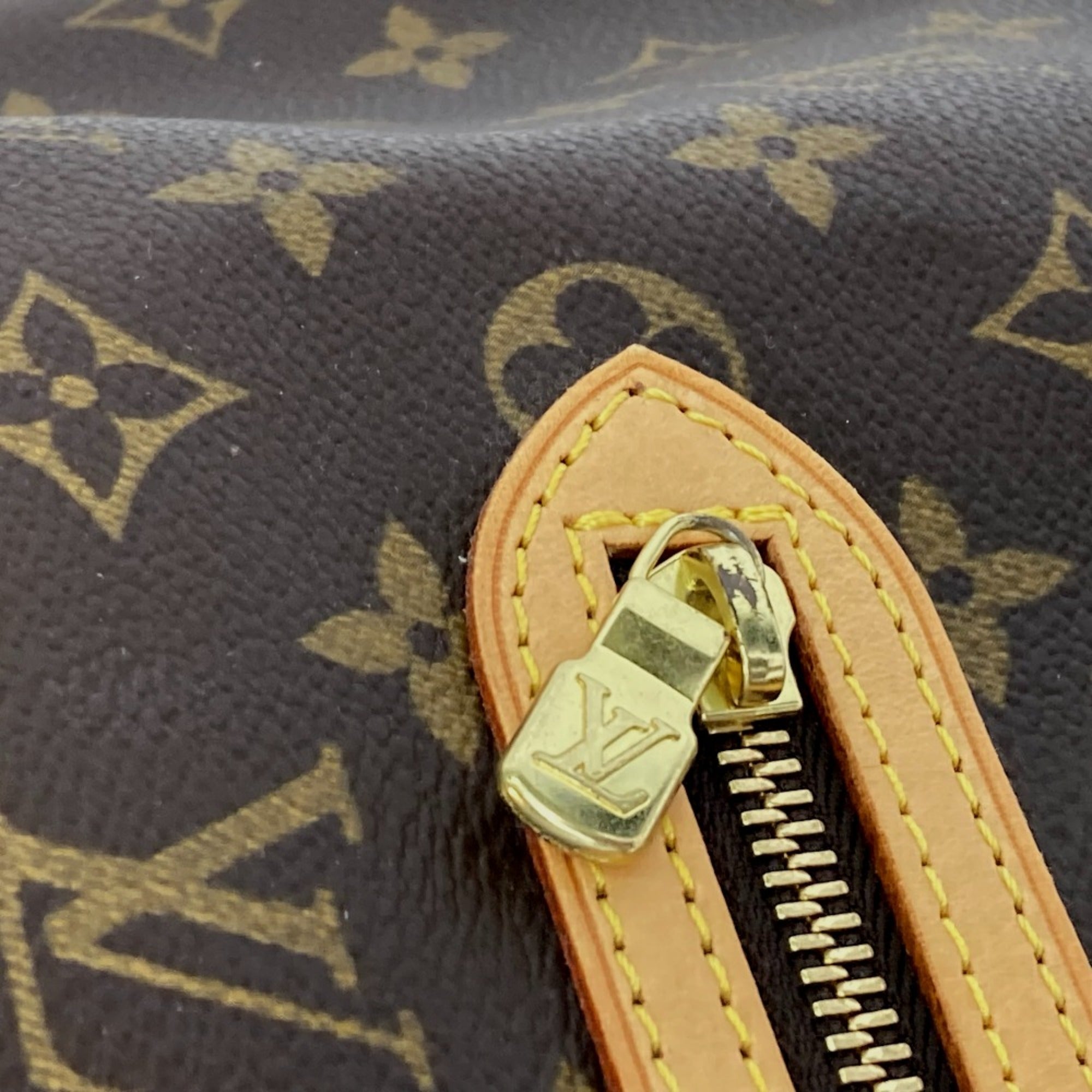 Louis Vuitton Brown Other Boston Bag