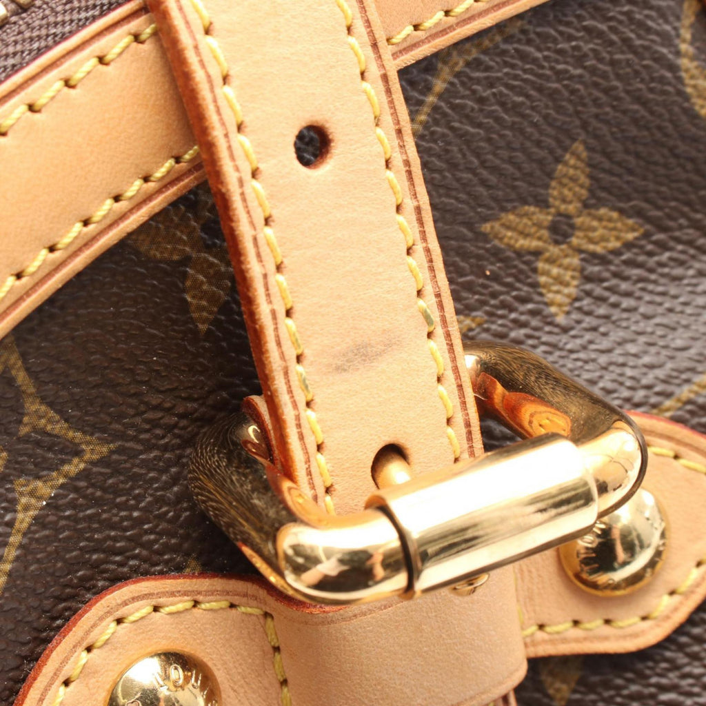 Louis Vuitton Brown Monogram Pvc Coated Canvas Leather Handbag