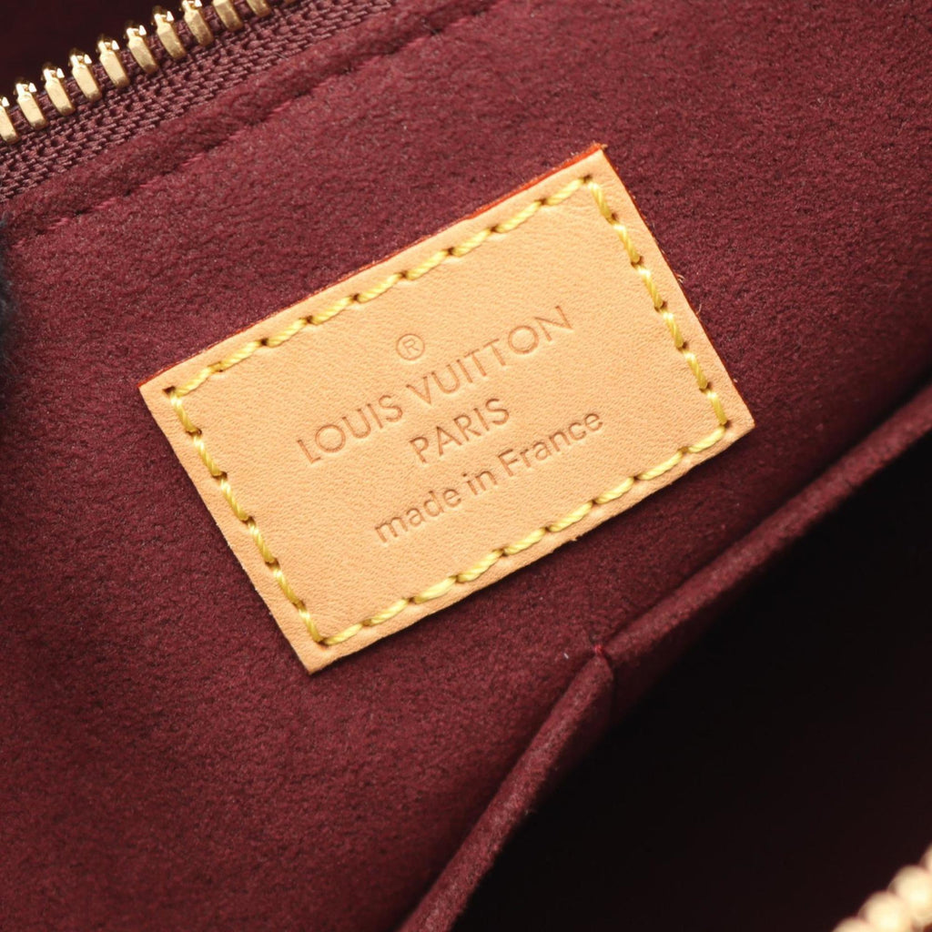 Louis Vuitton Brown Coated Canvas Pvc Leather Handbag