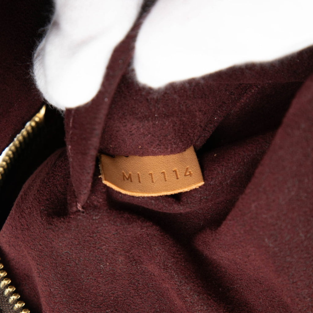 Louis Vuitton Brown Handbag