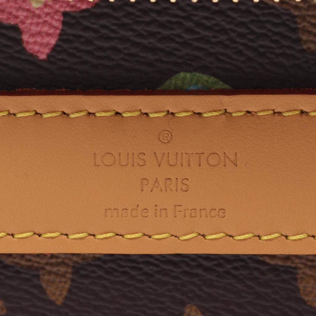 Louis Vuitton Brown Multi-Color Pvc Leather Handbag