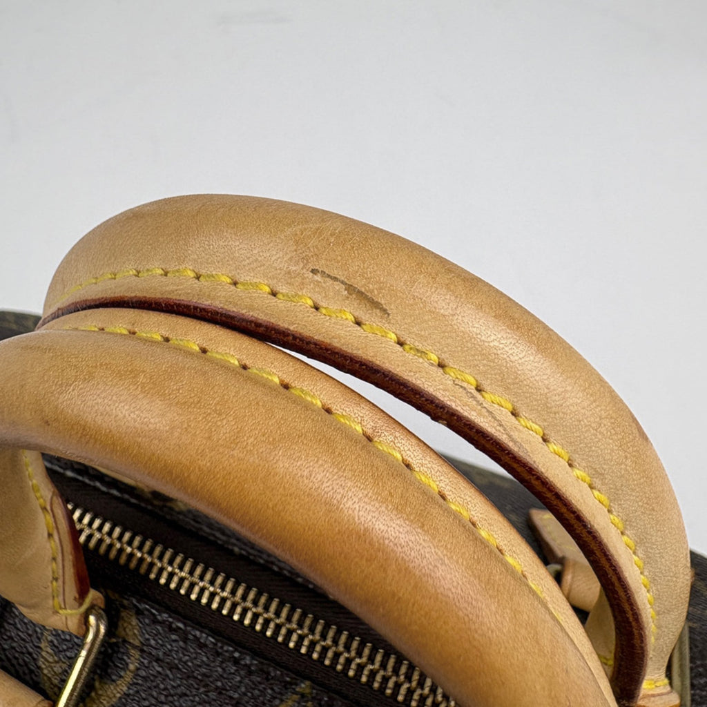 Louis Vuitton Brown Monogram Handbag