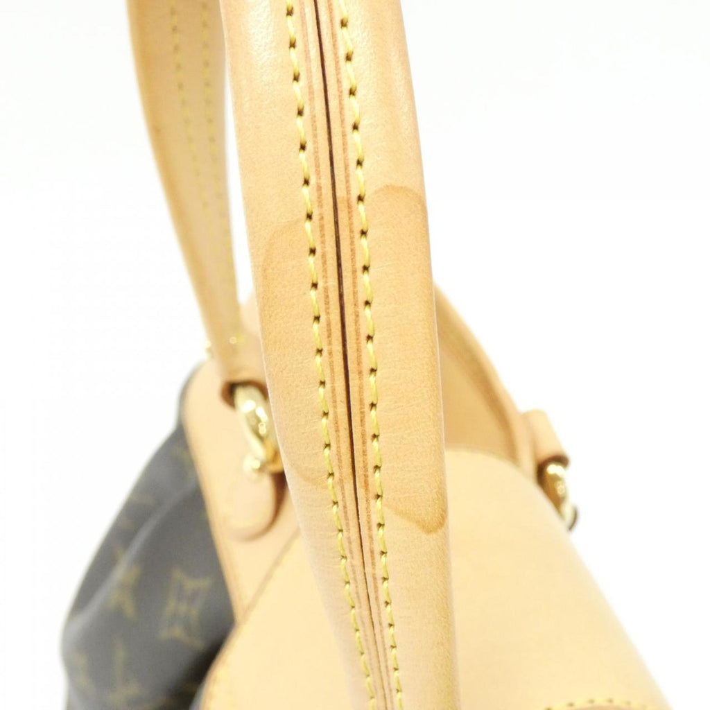Louis Vuitton Marron Coated Canvas Handbag