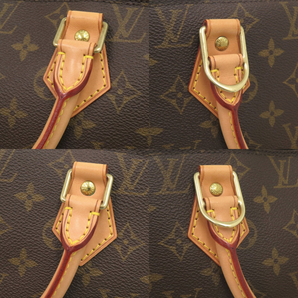 Louis Vuitton Brown Monogram Handbag
