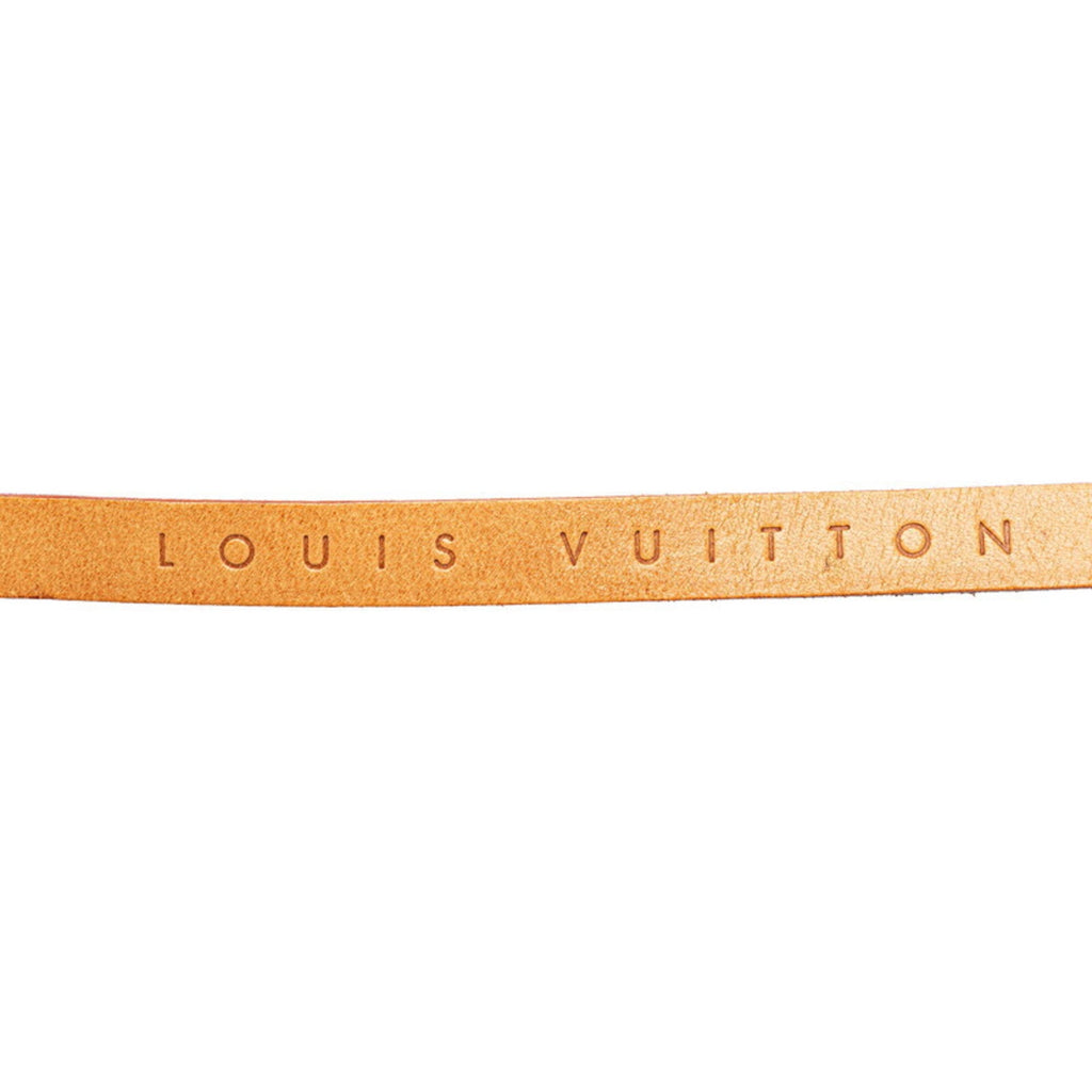 Louis Vuitton Brown Pvc Leather Pochette Sling Bag