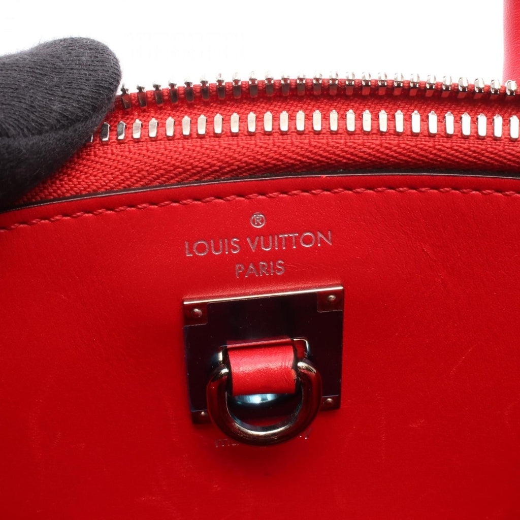 Louis Vuitton Red Color Rouge Leather Handbag