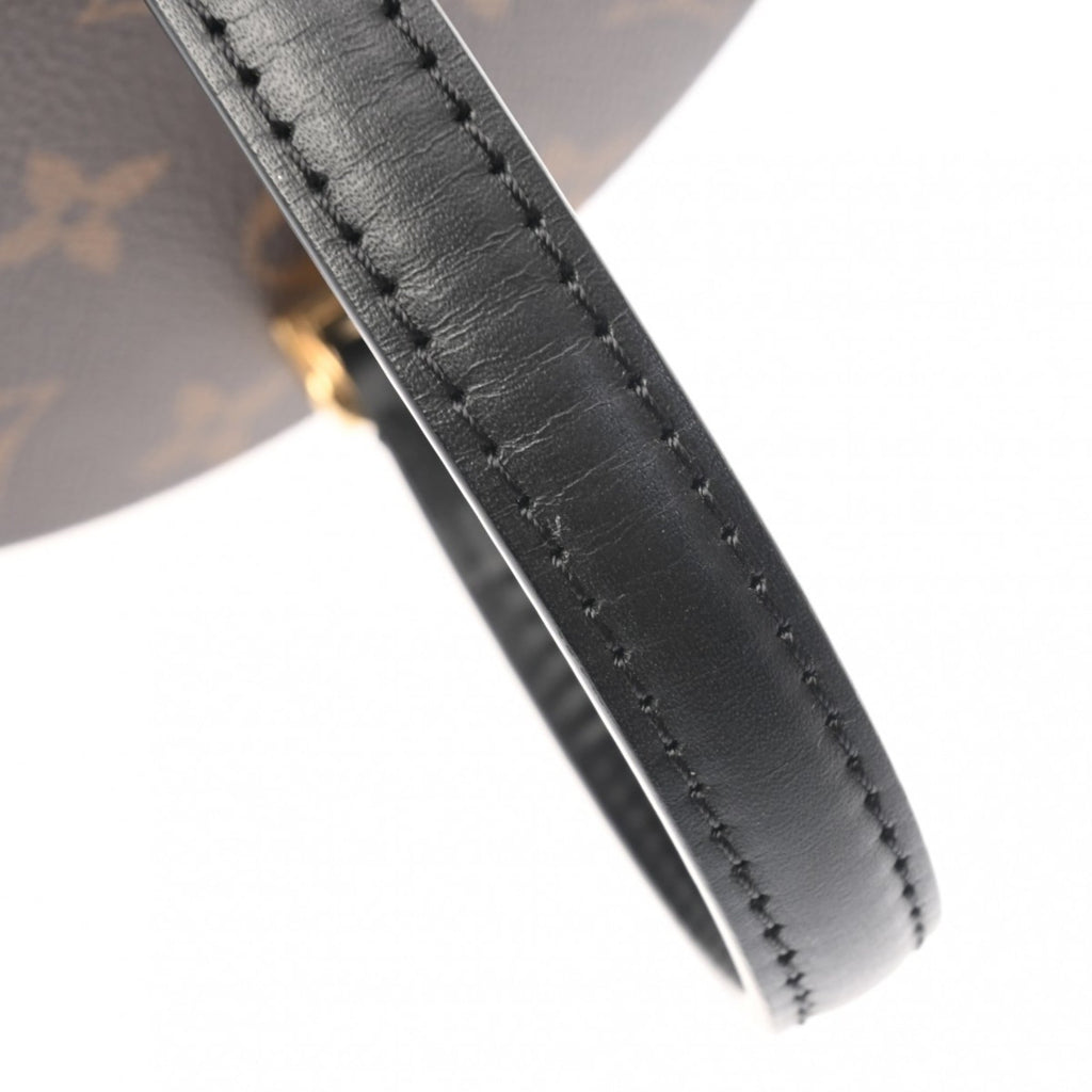 Louis Vuitton Brown Monogram Handbag