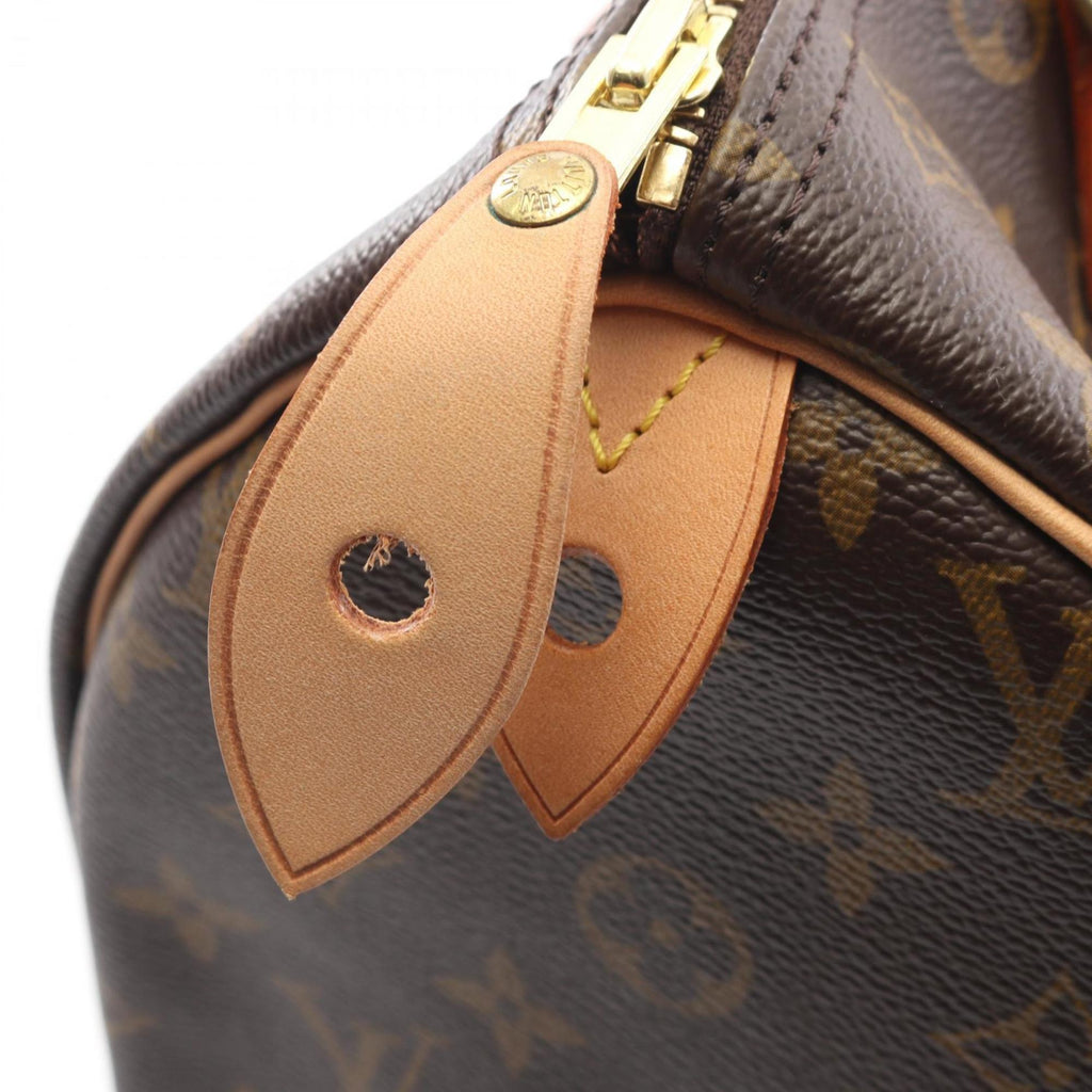 Louis Vuitton Brown Coated Canvas Pvc Monogram Leather Handbag