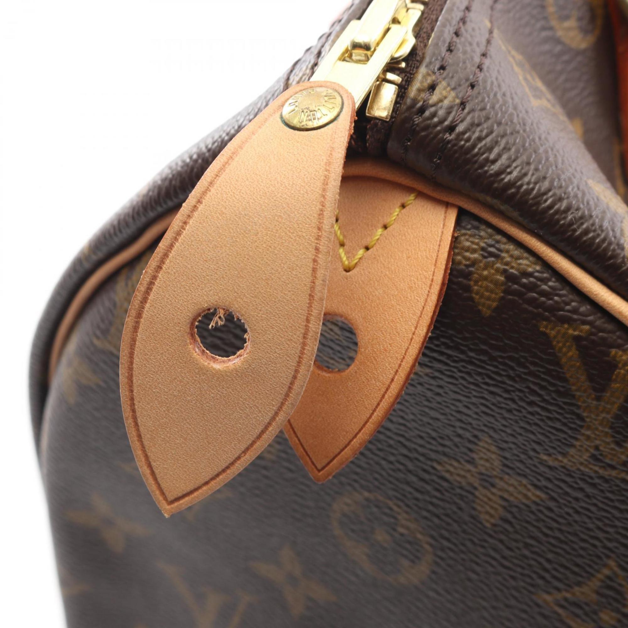 Louis Vuitton Brown Coated Canvas Pvc Monogram Leather Handbag