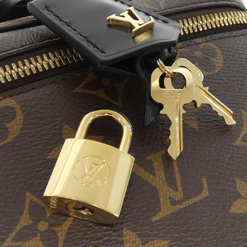 Louis Vuitton Marron Coated Canvas Handbag