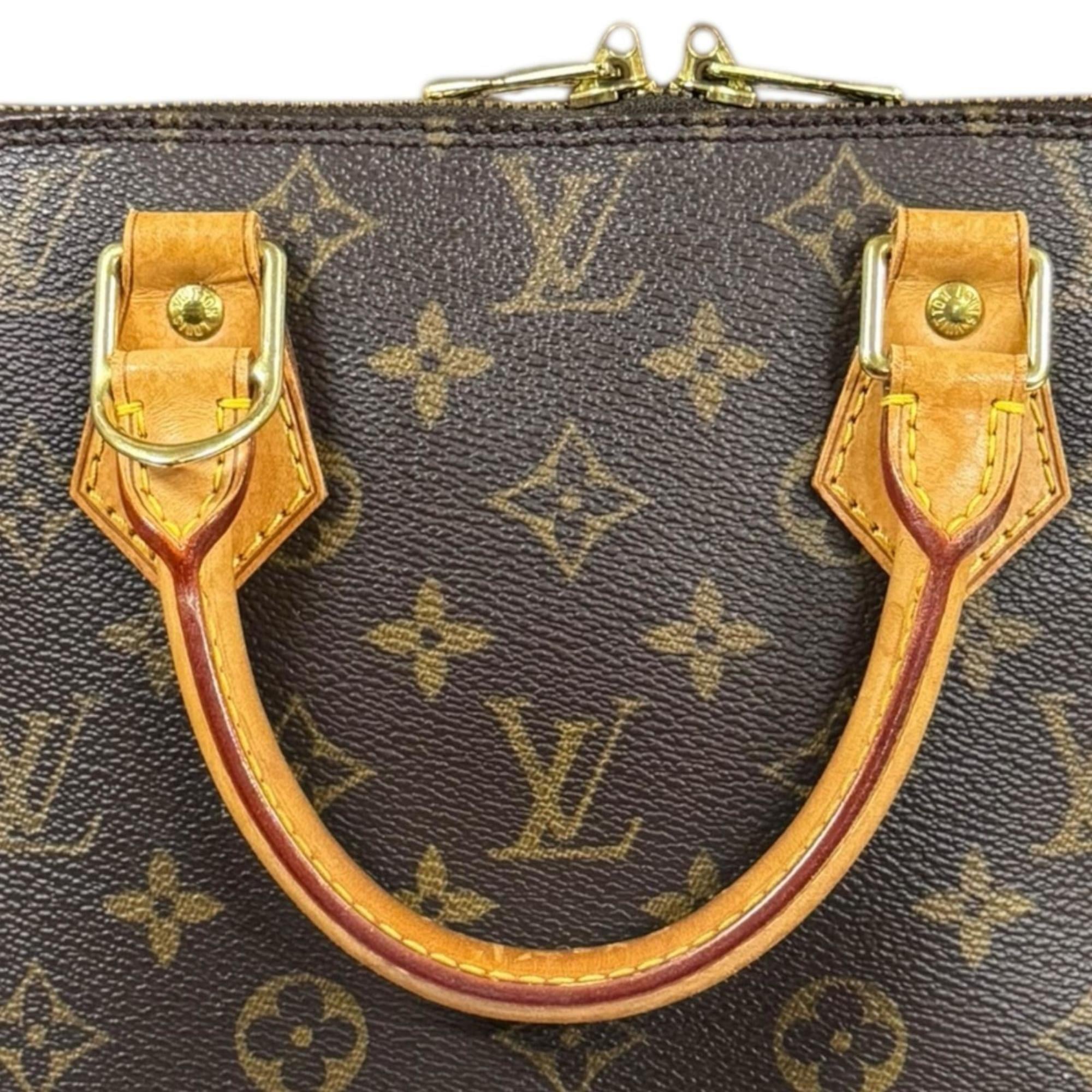 Louis Vuitton Brown Monogram Canvas Handbag