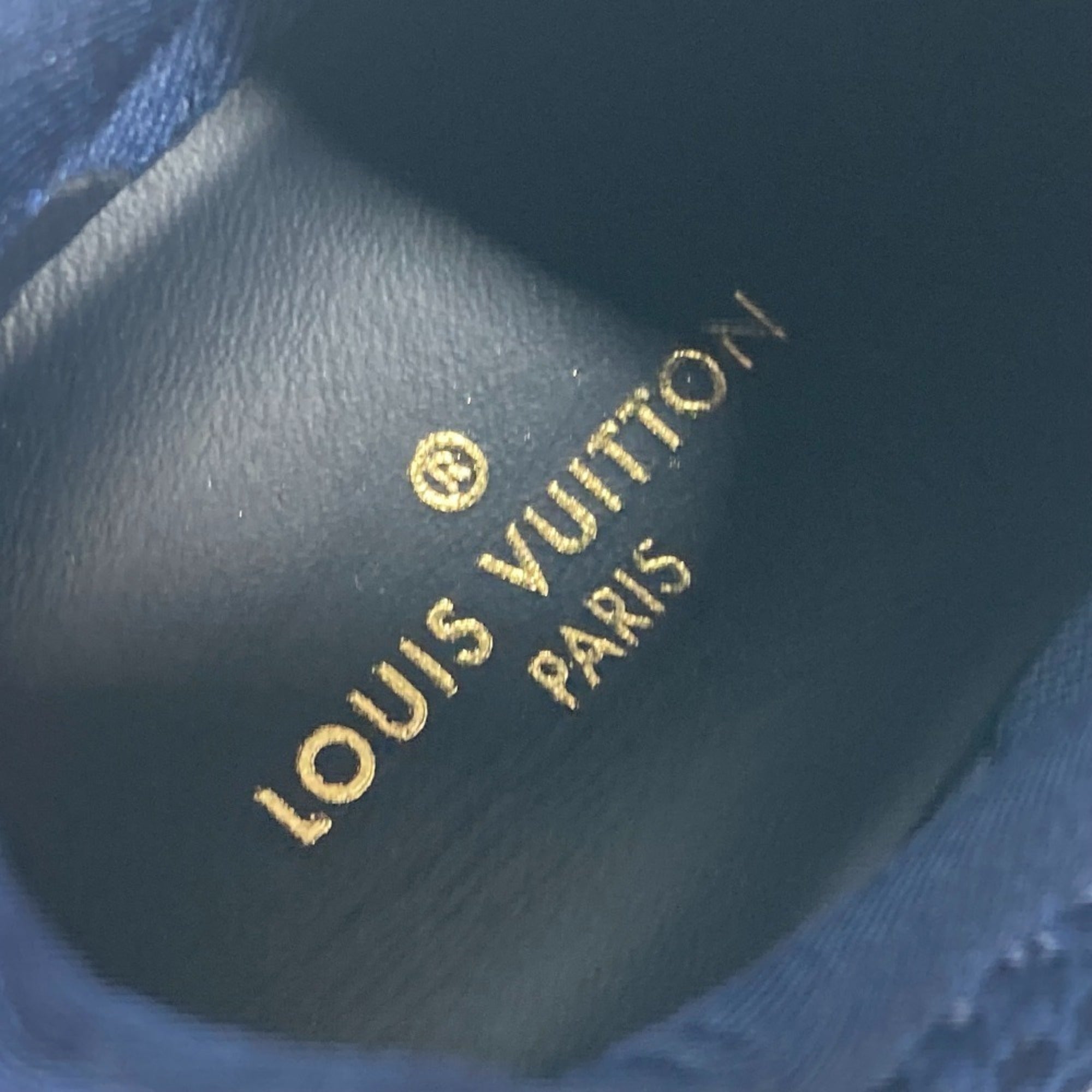 Louis Vuitton Blue Pink Sneakers