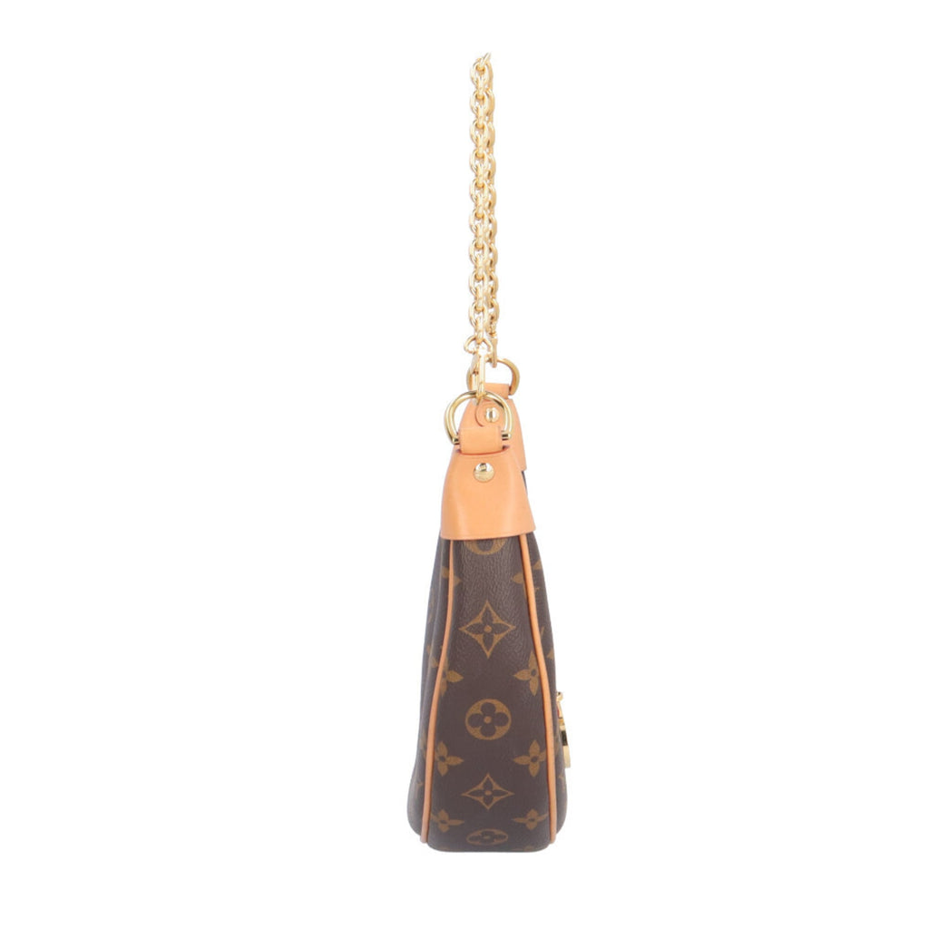 Louis Vuitton Monogram Brown Monogram Monogram Shoulder Bag