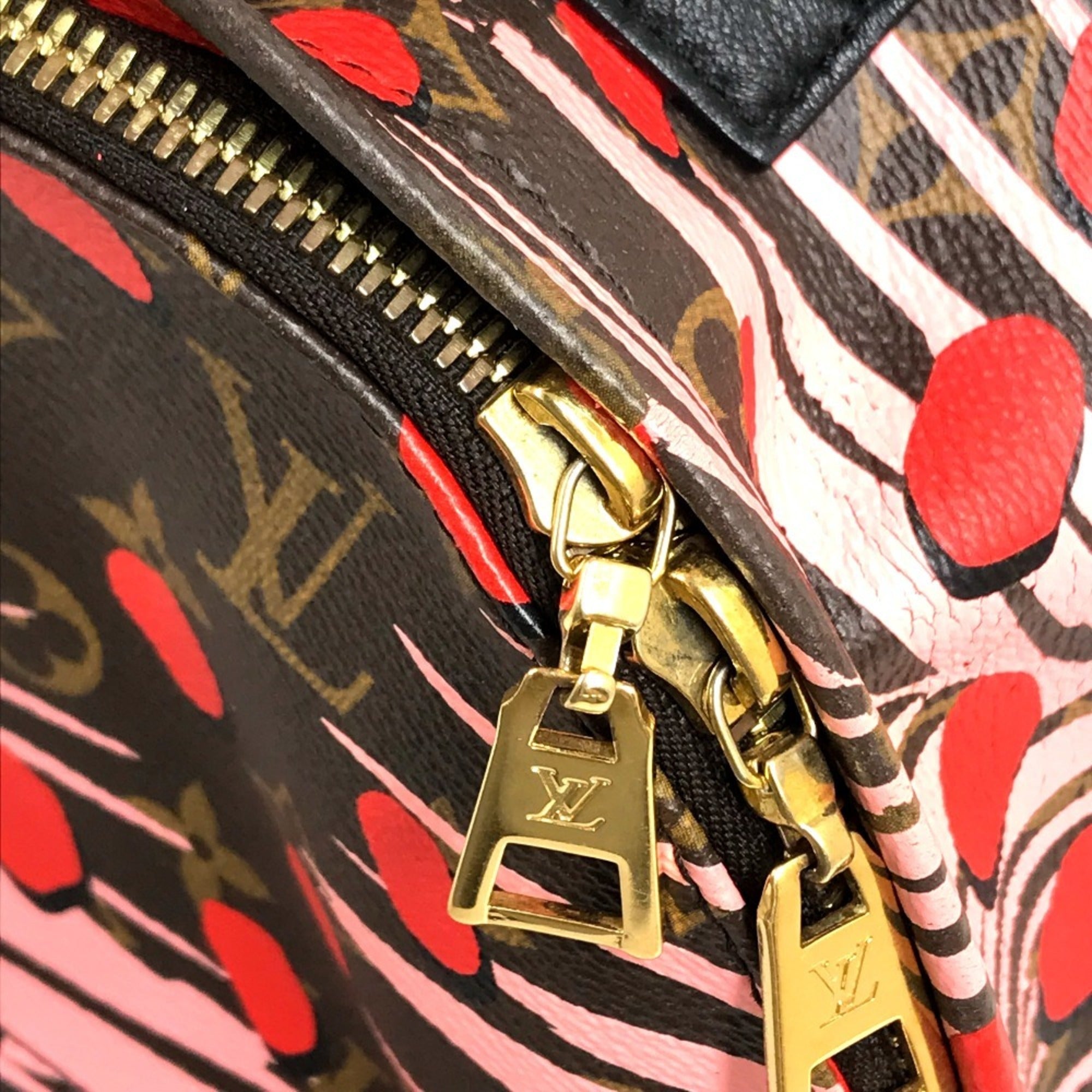 Louis Vuitton Brown Pink Red Color Monogram Backpack