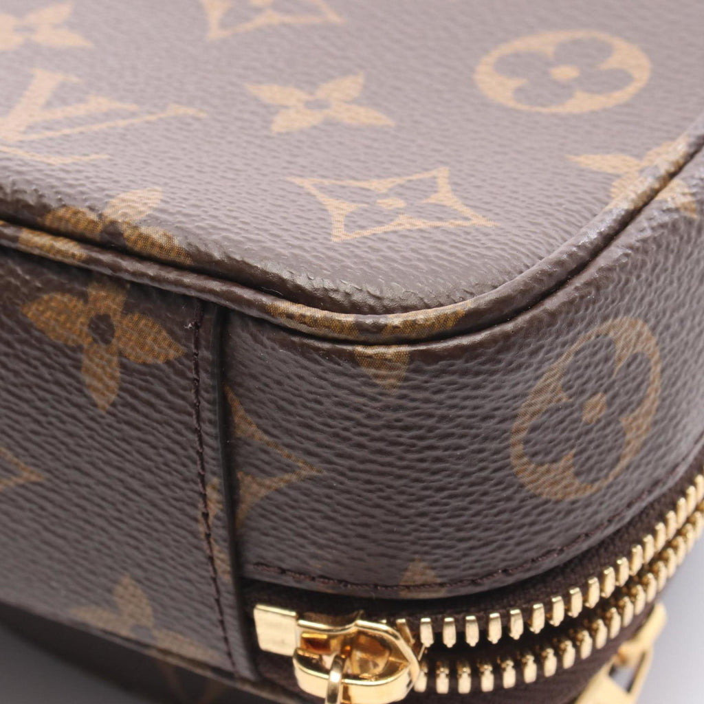 Louis Vuitton Brown Monogram Coated Canvas Leather Handbag